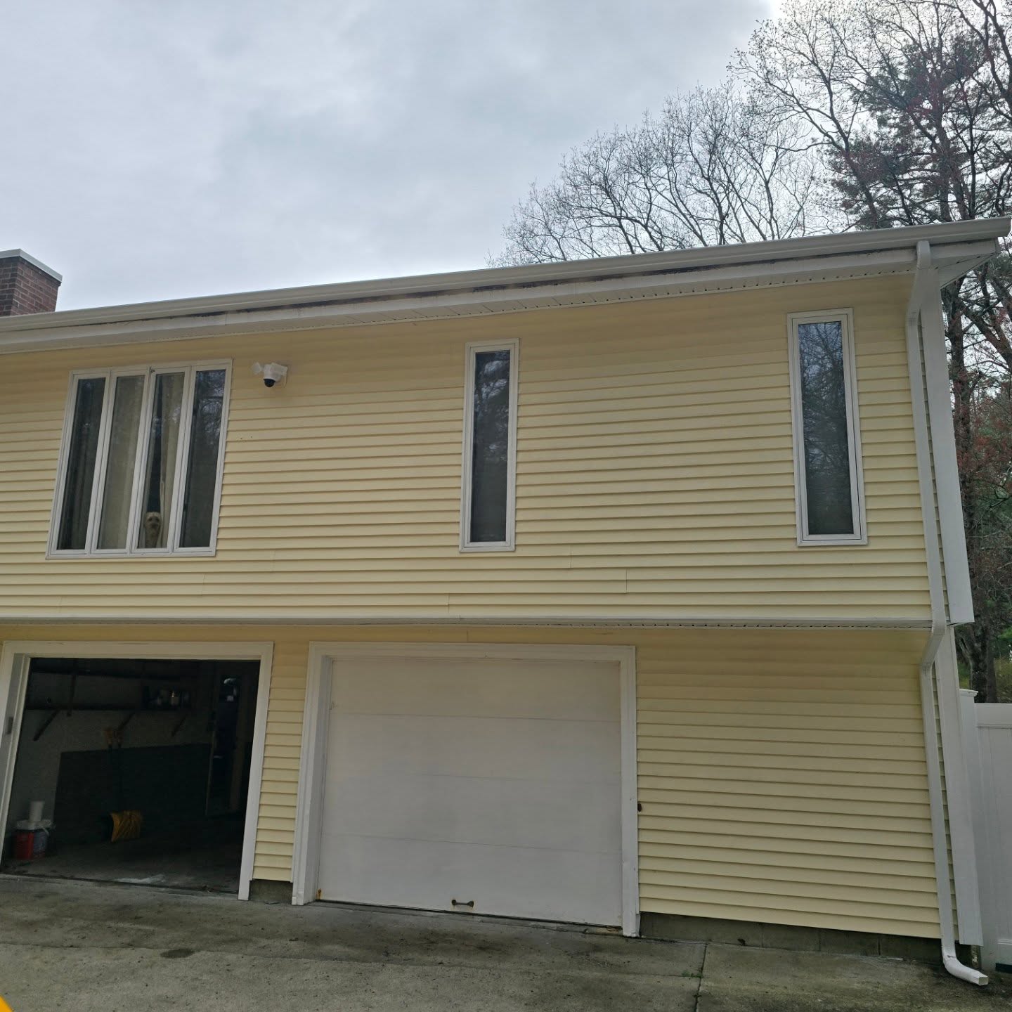 Cleaning project by RC Pro Solutions Gutters